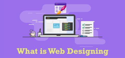 What is web design